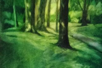 Light Through the Trees